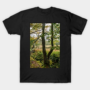 Autumn Tree Landscape Scene T-Shirt